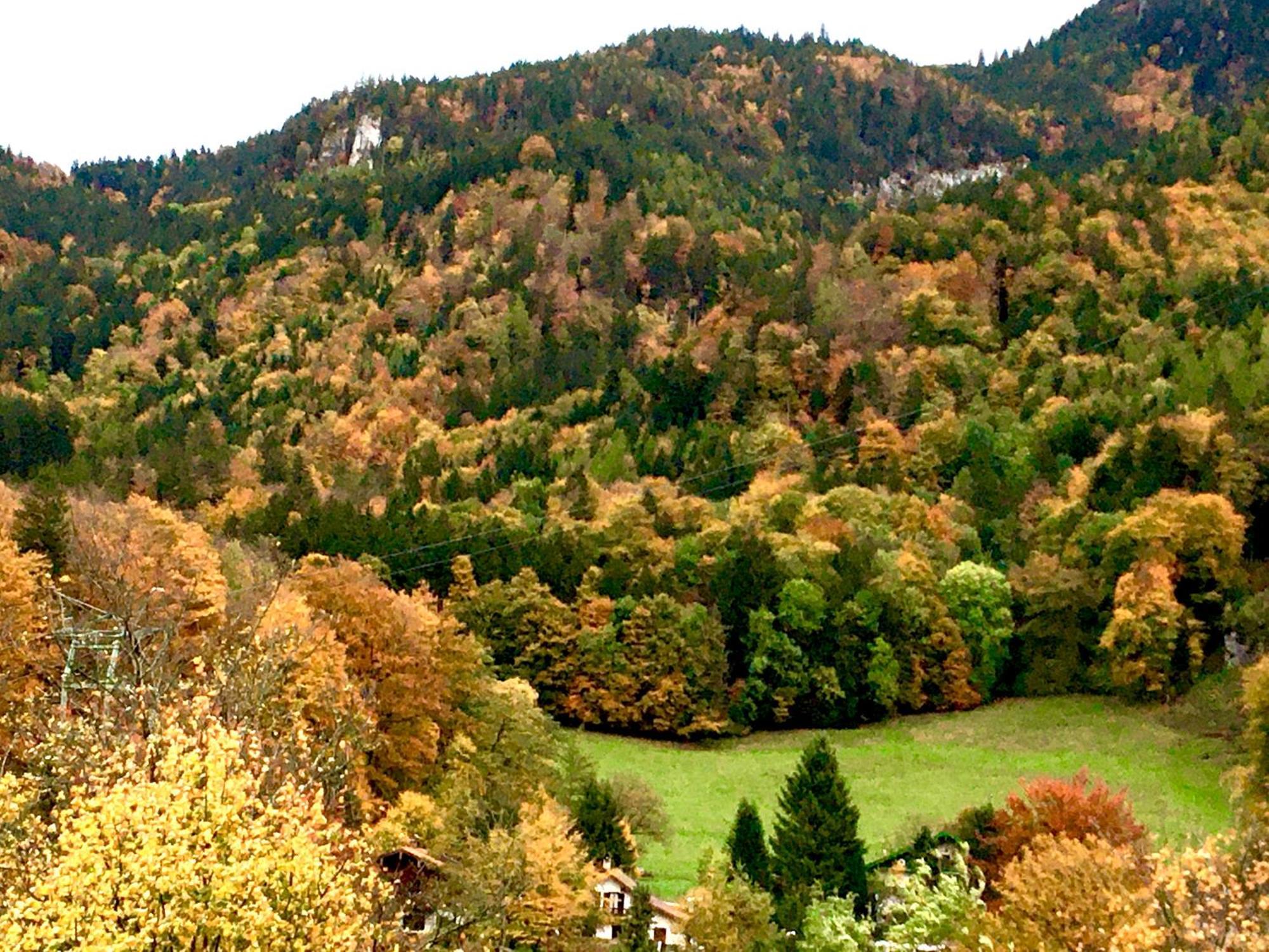 Appartment Schloss-Zeit Aschau im Chiemgau Habitación foto